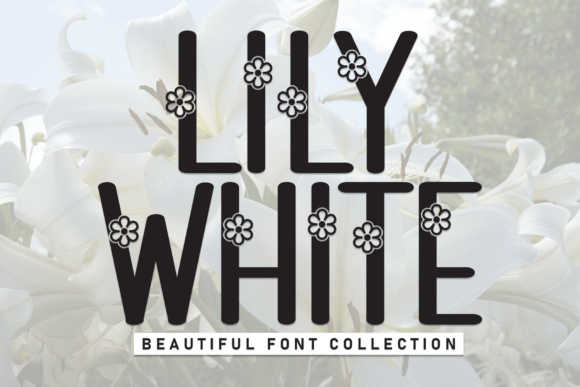 Lily White: A Sweet Display Font for Modern Web Design